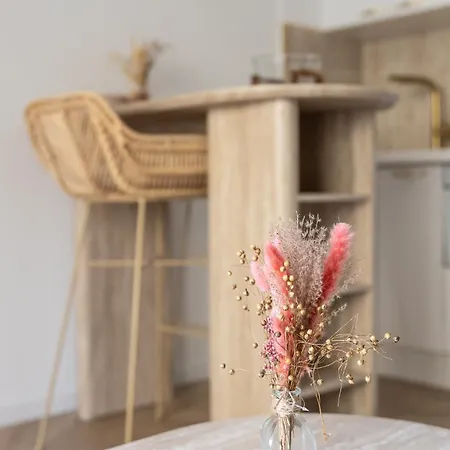 - Cosy Renove -terrasse & Parking Prive Apartment