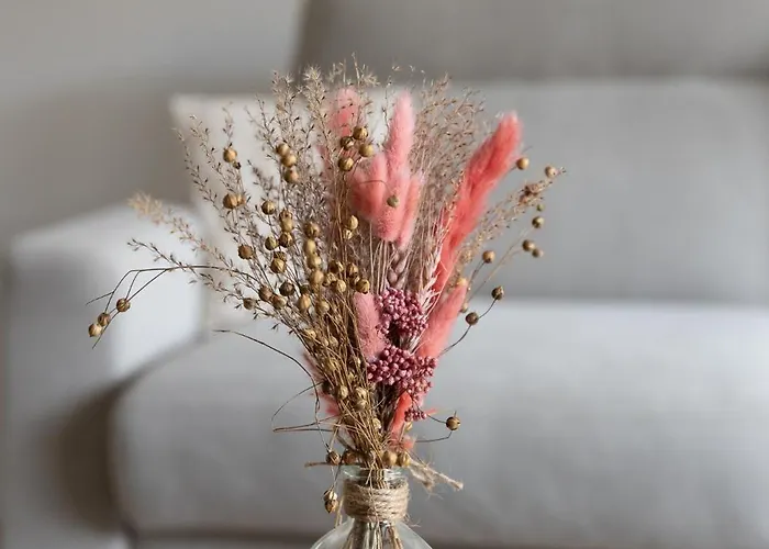 - Cosy Rénové -terrasse&parking Privé *