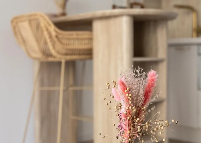 - Cosy Rénové -terrasse&parking Privé Apartmán